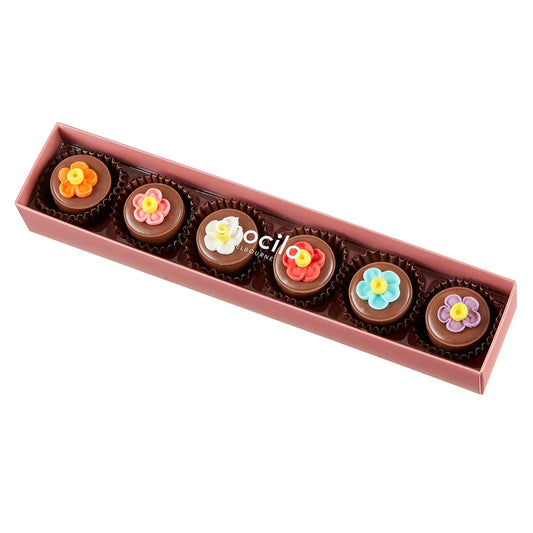 Chocilo Flower Pot Praline